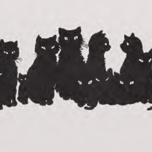 A cat, illustrating Cheese Dreams (Allegedly)