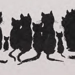 A cat, illustrating Chicken Biscuit Bites