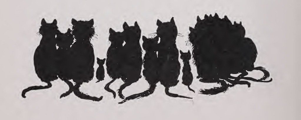 A cat, illustrating Chicken Biscuit Bites