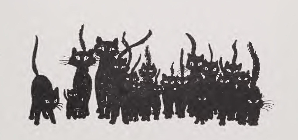 A cat, illustrating Tuna Crisp Triangles